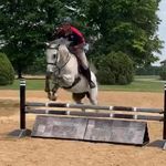 Aaron Edelson - @racehorsefarrier - Instagram
