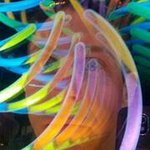 Aaron Edelson - @aaronedelson - Instagram