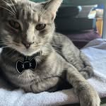 Aaron Edgell - @nicoh4mvp - Instagram