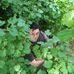 Aaron Edgeley - Facebook