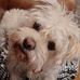 Aaron Ellington - Facebook