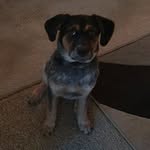 Aaron Edling - @aaronedling - Instagram