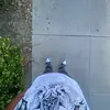 AARON - @aaron.edmond0 - TikTok