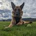 Aaron Edmonds - Facebook