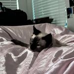 Aaron Egbert - @aaron.egbert.16 - Instagram