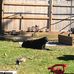 Aaron Egersheim - Facebook