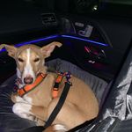 Aaron Peter Wiegerling - @aaronpeterwiegerling - Instagram