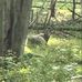 Aaron Ehlinger - Facebook