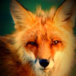 Aaron Ehlers - @aaronkehlers - Instagram