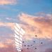 Ymka Nikel - Facebook