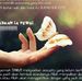 Oren Ikanpari - Facebook
