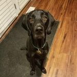 Aaron Eisenbarth - @skippybishop - Instagram