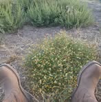 Aaron Cory Eisenman - Facebook