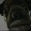 Aaron - @aaron.eldredge2 - TikTok