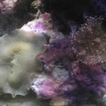 Aaron Elkins - @ae760 - Instagram