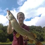 Aaron Elkins - @aaron_elkins44 - Instagram