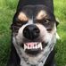 Aaron Elledge - Facebook