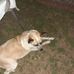 Aaron Elledge - Facebook