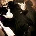 Aaron Whilethefedswatchin Ellerman - Facebook
