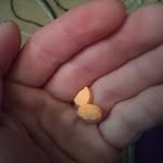 Aaron Ellickson - @aaronellickson - Instagram