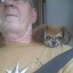 Aaron Ellison - @ellison6340 - Instagram