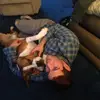 Aaron Melman - @aaron.melman - TikTok