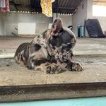 Aarón_el.exotico - @aaron.elmerley - Instagram