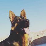 Elmer Aaron Pizarro - @elmer_aaron16.10 - Instagram