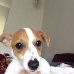 Aaron Else - @aaronelse - Instagram
