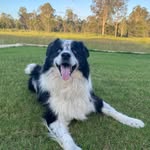 Aaron Van Den Elsen - @vandenelsenaaron - Instagram