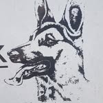 aaron - @aaronelzinga31 - Instagram