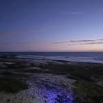 Aaron Engels - @abrieaengels - Instagram