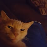 James Aaron Engler - @englerjames - Instagram