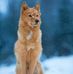 Aaron Ensminger - Facebook