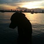 Aaron Epstein - @aaronepstein9 - Instagram