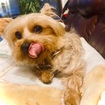 Aaron🌌Epstein🐕 - @aaronepstein1 - Instagram