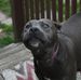 Aaron Eberhardt - Facebook