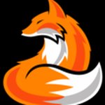 Aaron Eriksson - @profoxgamer2009 - Instagram