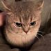 Aaron Eriksson - Facebook