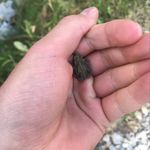 Aaron/Erin - @hummanbean - Instagram