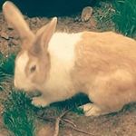 erwin Aaron - @erwin.aaron - Instagram