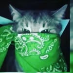 AaronEscalera - @aaronescalera9 - Instagram