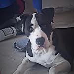 Aaron Espindola - @aaron_18_07_0 - Instagram