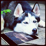 @aaron_estes - Instagram