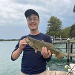Aaron Eugene Vess - @eugene__vess - Instagram