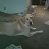 aaroneverett503 - @aaroneverett503 - TikTok