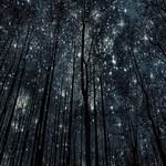 aaron Everidge - @aaroneveridge425 - Instagram
