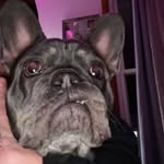 aaron e - @aaron.eversole1221 - Instagram