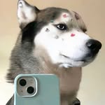 Aaron.Fang - @aaron.fang2 - Instagram