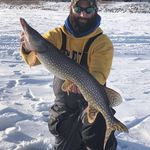 Aaron Fenner - @fenner.25 - Instagram